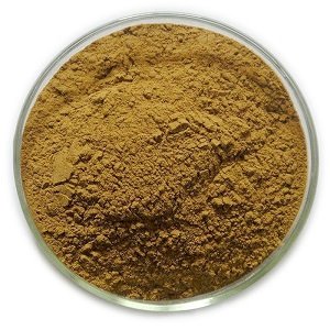 Huperzine-A-0