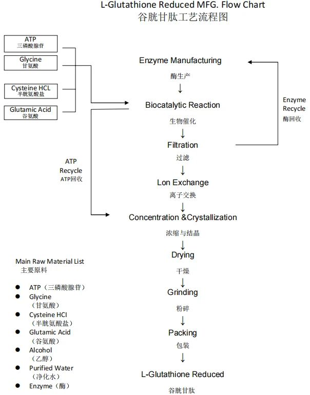 L-Glutathione flow chart