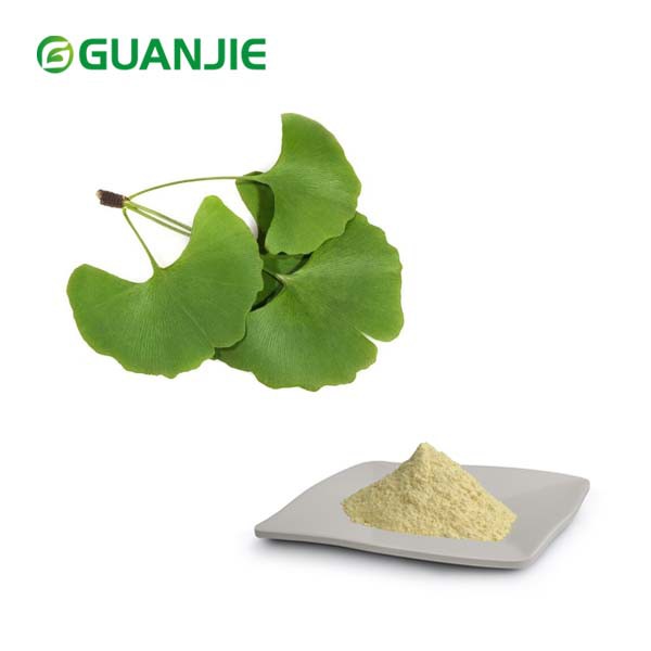 Powdwr Detholiad Dail Ginkgo Biloba