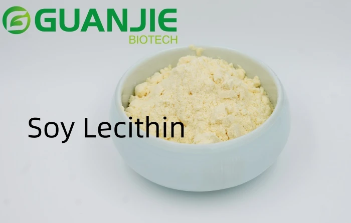 bulk soy lecithin bulk soy lecithin