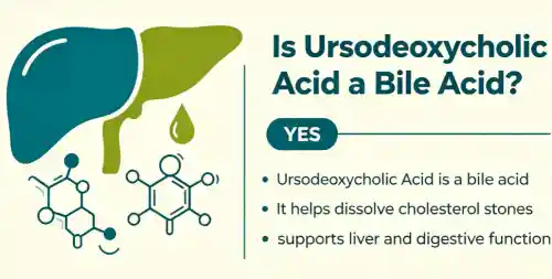 Ai Asid Bustl yw Asid Ursodeoxycholic?