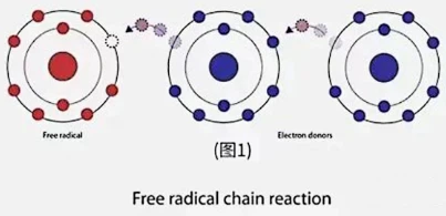 news-403-195 news-403-195